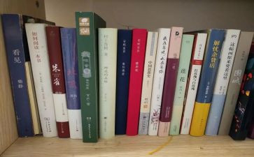 2024年度工作总结暨2024年工作计划优质7篇