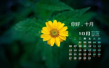 幼儿园10月份周工作计划8篇