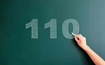 110辅警的个人总结优质8篇
