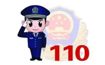 110工作计划总结精选5篇