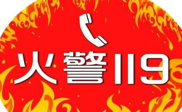 小学119消防宣传活动总结8篇
