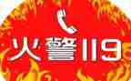小学119消防宣传活动总结8篇