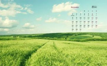 学生会12月总结5篇