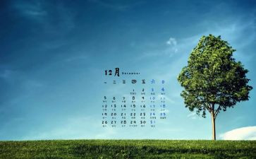 行政12月工作计划6篇