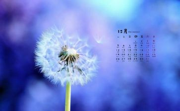 12月幼儿园小班工作计划5篇