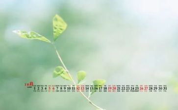 12月份月工作总结优秀7篇