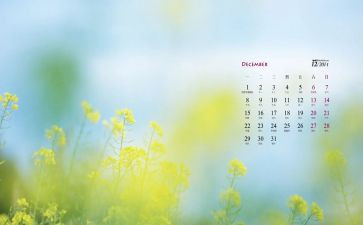12月区角活动总结精选6篇