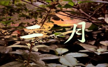 第2月工作总结范文5篇