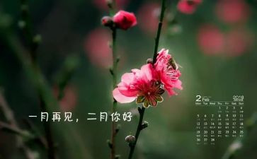 幼儿园中班2月工作总结5篇