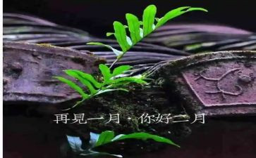 村2月份工作计划模板8篇