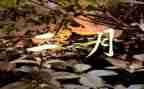 第2月工作总结范文5篇