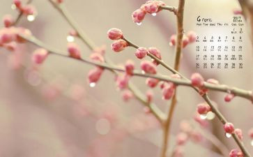 幼儿园4月份保育工作总结5篇