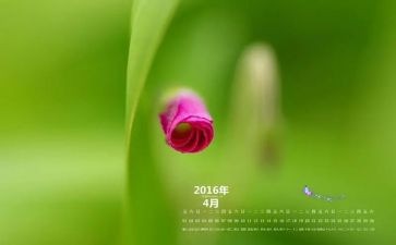 2024年4月份工作总结通用6篇
