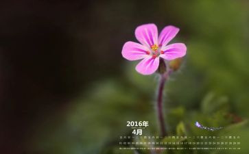 幼儿园4月活动总结6篇