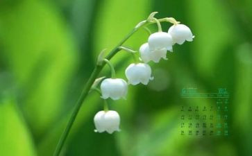 4月学生月总结8篇