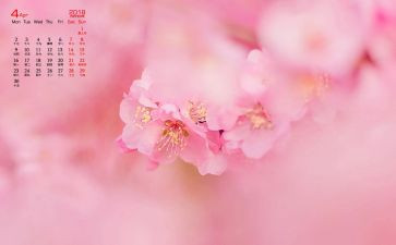 2024年4月工作计划通用6篇