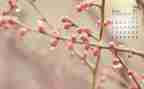 幼儿园4月份保育工作总结5篇