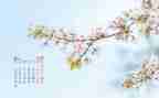 4月份周工作计划推荐8篇