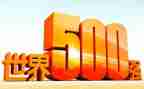 入职500强企业心得体会6篇