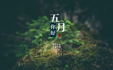 5月党日活动方案5篇