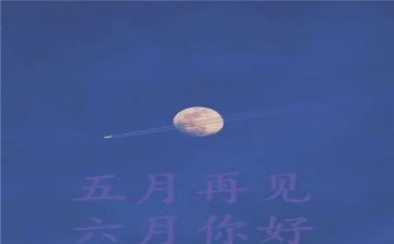 5月保育心得体会6篇