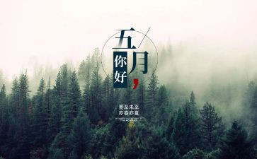 5月周工作总结7篇