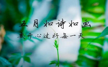 村5月工作计划推荐6篇
