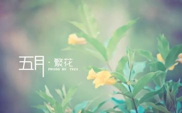 幼儿园小班5月份月计划6篇