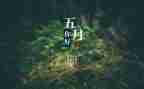 幼儿园小班5月份工作总结5篇
