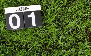 幼儿园教师6月工作总结8篇