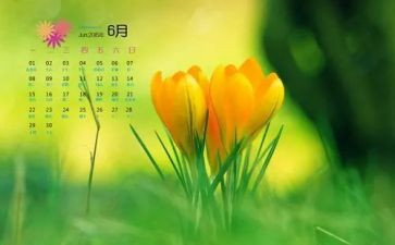 4至6月安全工作总结模板6篇