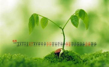 6月1活动方案7篇