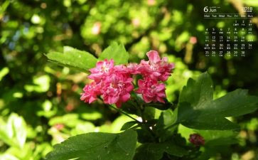 小班3到6月份工作计划8篇