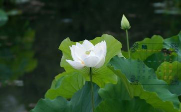6月安全生产月活动总结最新5篇