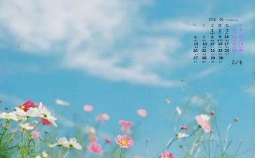 中班6月份月工作计划8篇