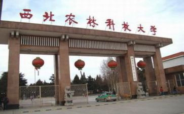985大学校园活动方案参考5篇