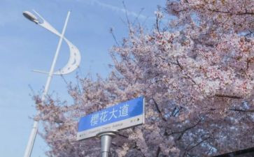 985大学校园活动方案5篇