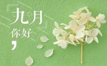 幼儿园中班9月工作总结5篇