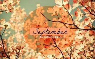 9月销售个人总结5篇