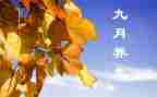 销售9月份工作总结8篇