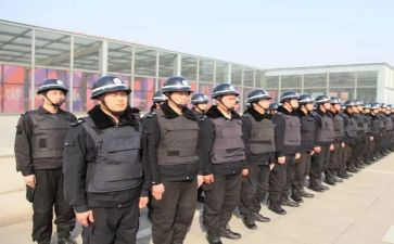 安保处个人总结优质8篇
