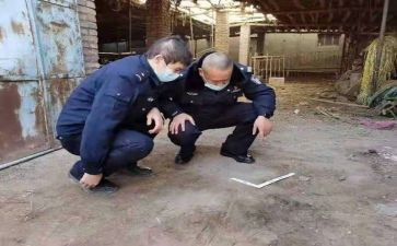 档案管理与工作总结模板5篇