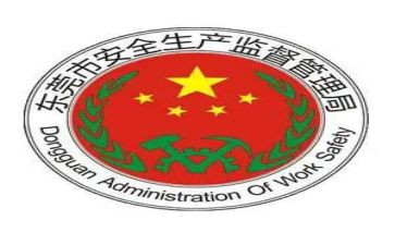 安监局个人年终总结5篇