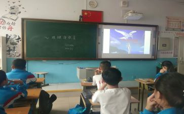 交通安全班会课心得体会7篇