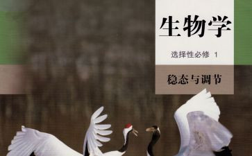初中生物教学个人工作总结8篇