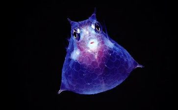 高中生物教师教学心得5篇