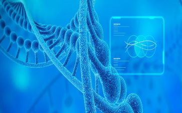 高二下生物工作计划5篇