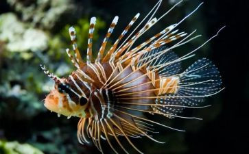生物教师心得体会8篇