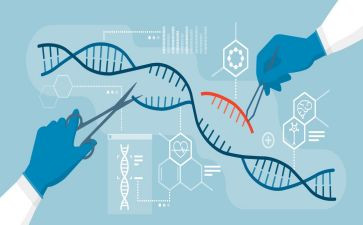 生物实验课心得体会8篇
