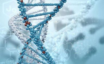 生物学期工作总结6篇